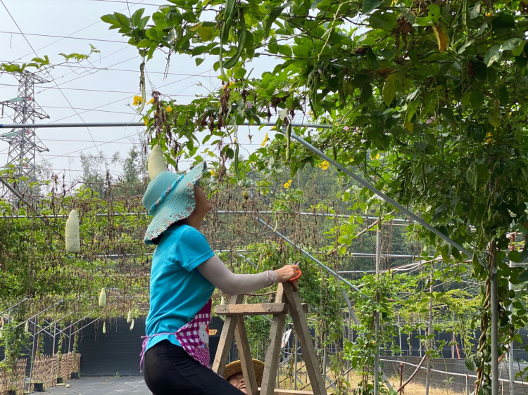 九龍生態園-社區關愛賦能計劃