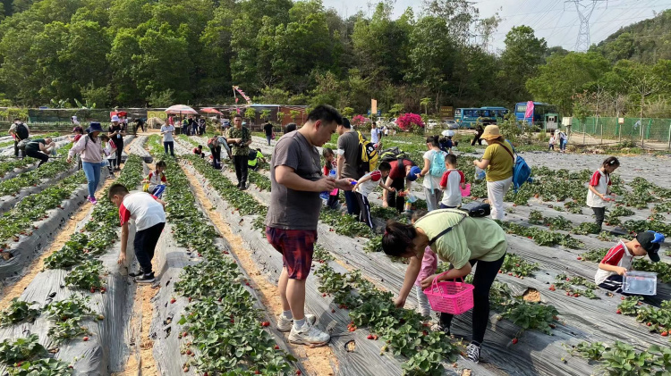 深耕“農家樂”需下“苦功夫”